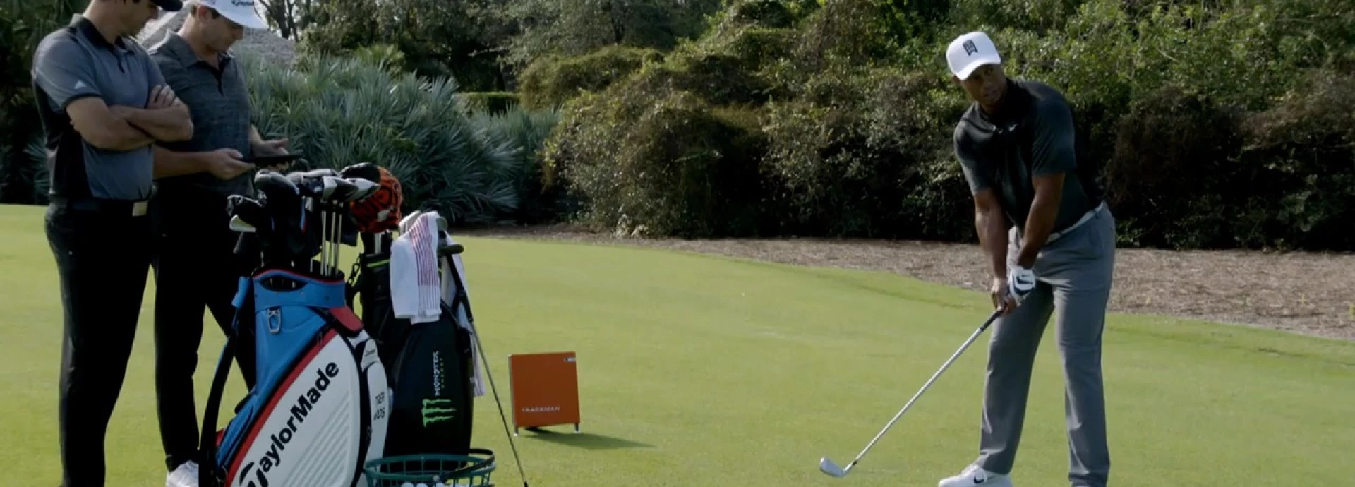 The Tiger Woods Project