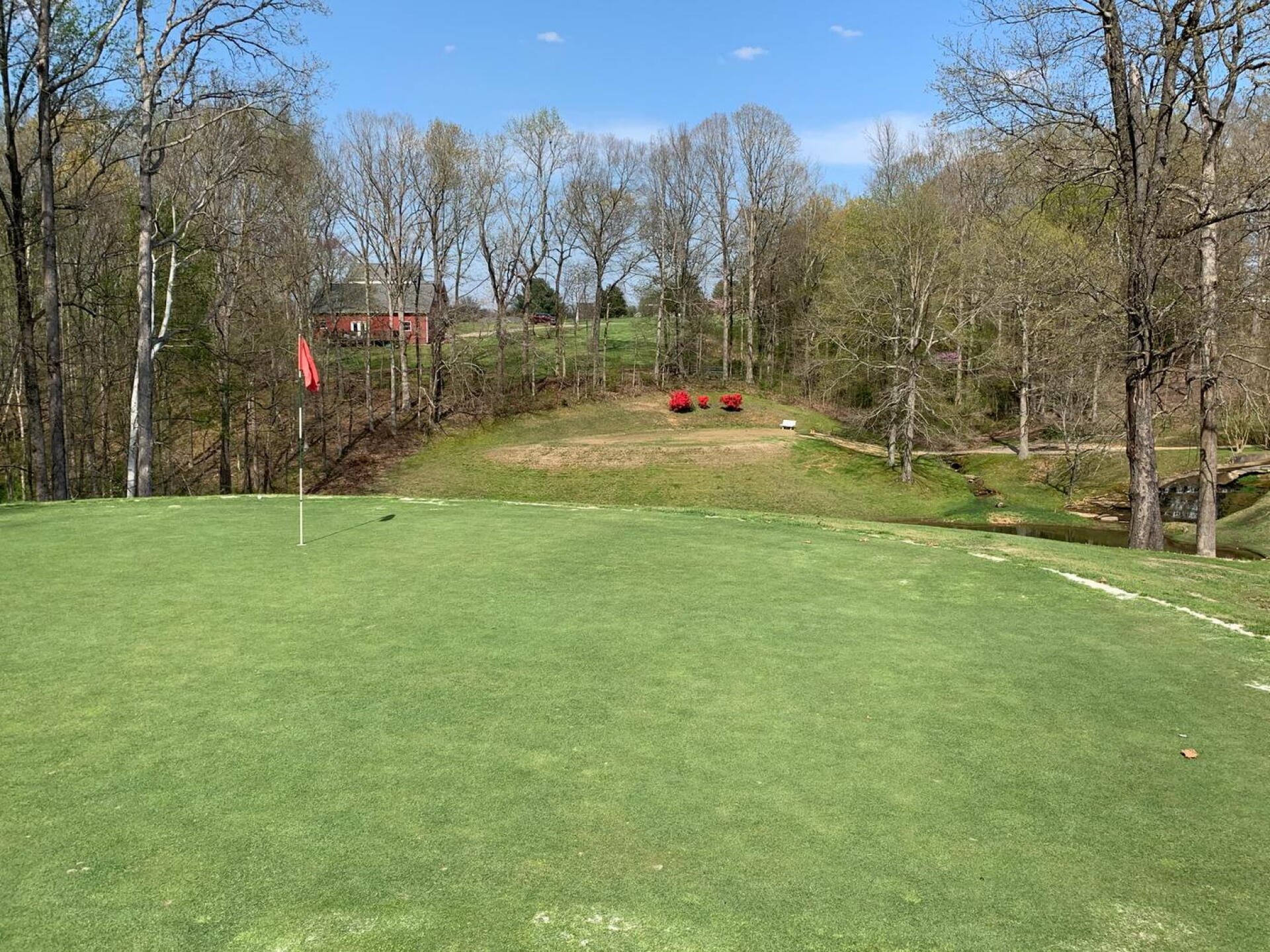 Hole No. 5, par 3 looking back toward the tee (Photo submitted by ShragMagtite on 04/20/2020)