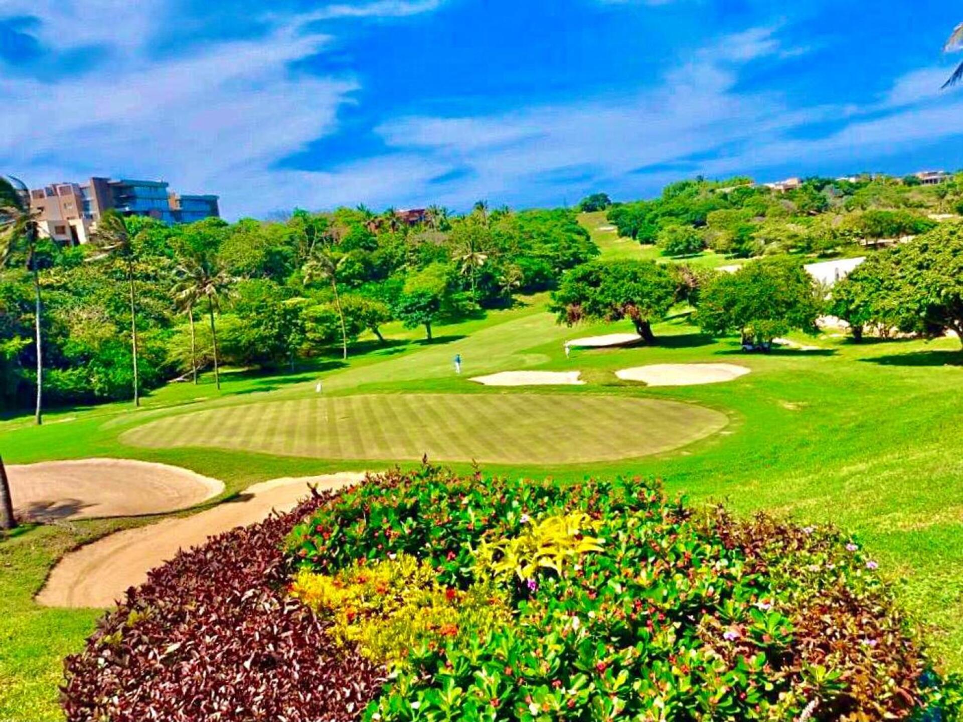 (Photo submitted by rTaaLmvITI7gzcrmgQm2 on 03/09/2021)