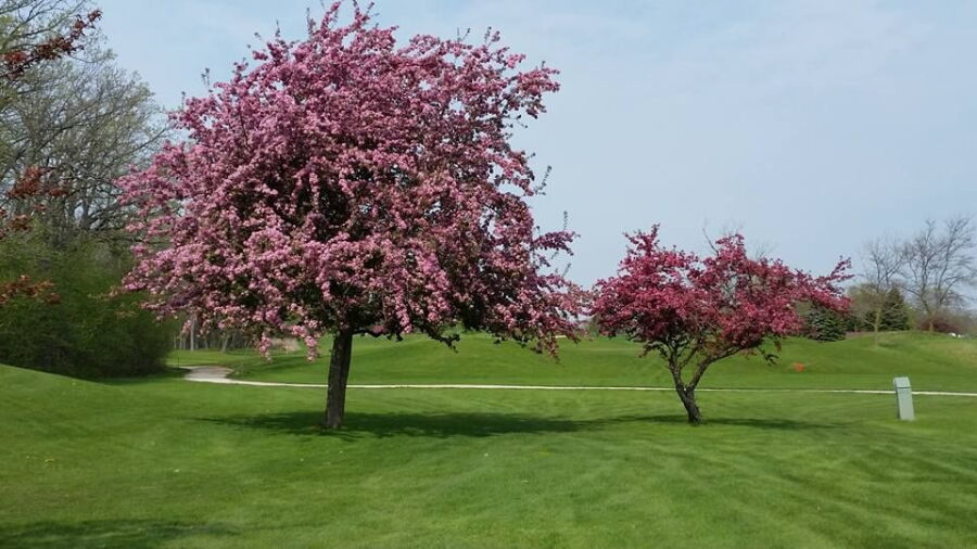 Rolling Meadows GC