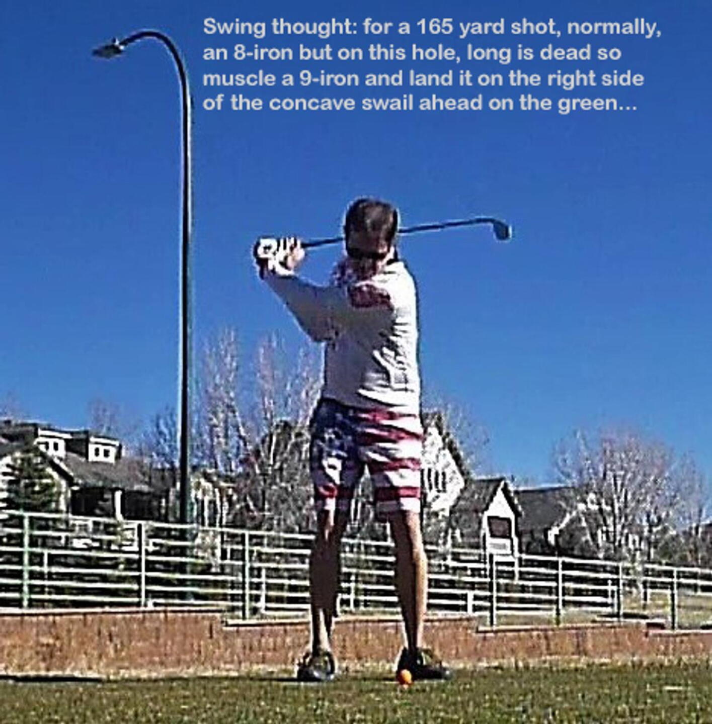 (Photo submitted by DiamondAces on 12/13/2023)