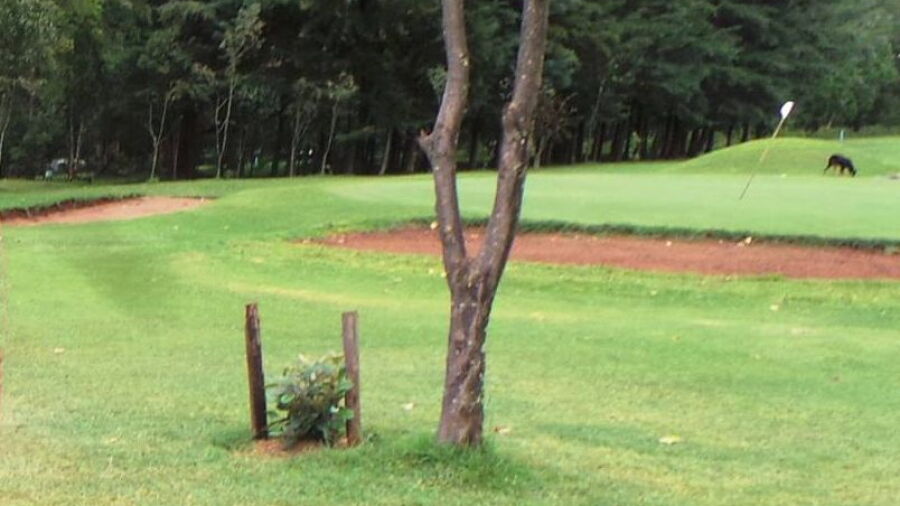 Kericho GC