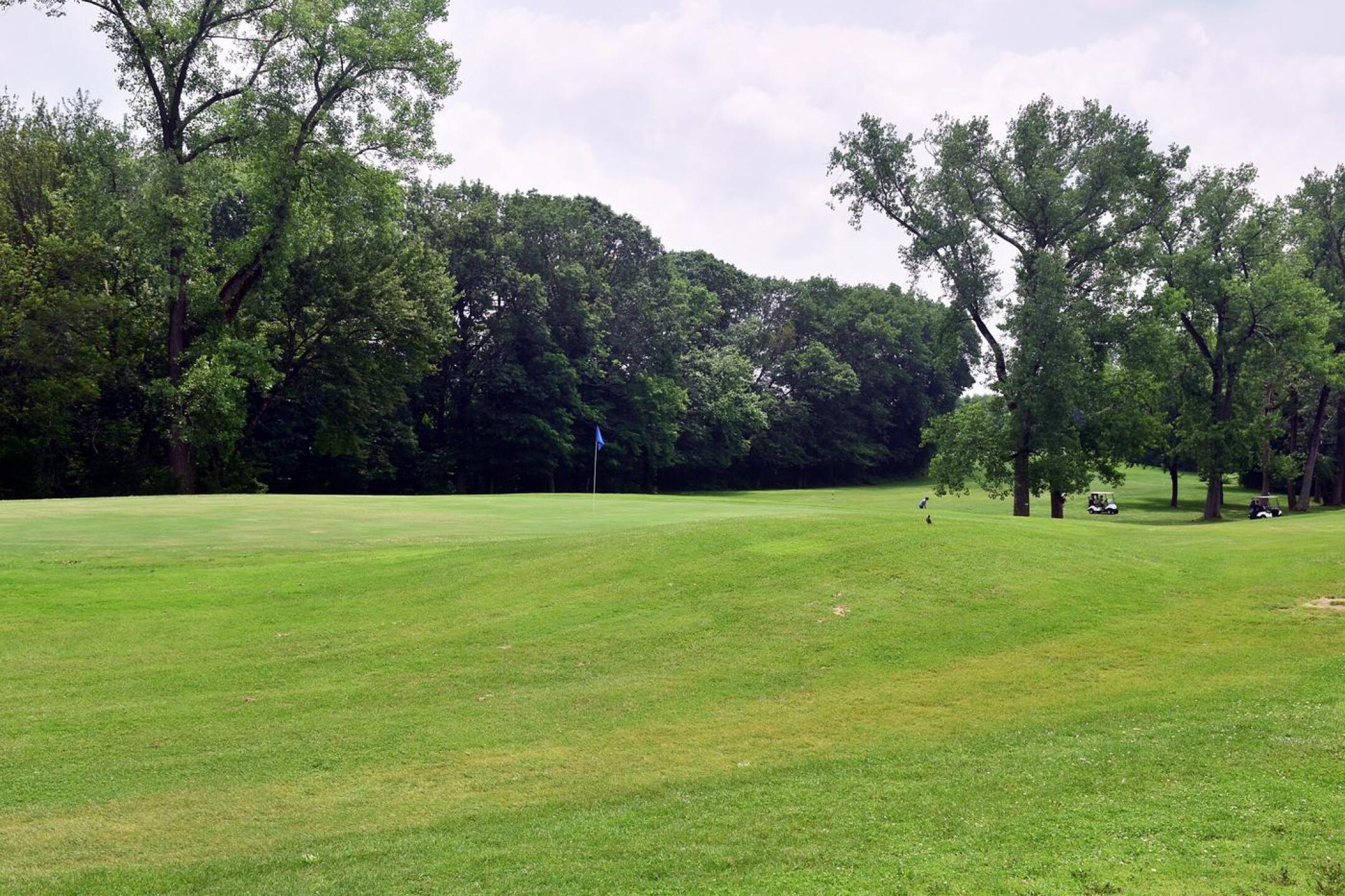 View of the gently tilted ninth green from the left side. (Photo submitted by AptlyLinked on 06/14/2025)