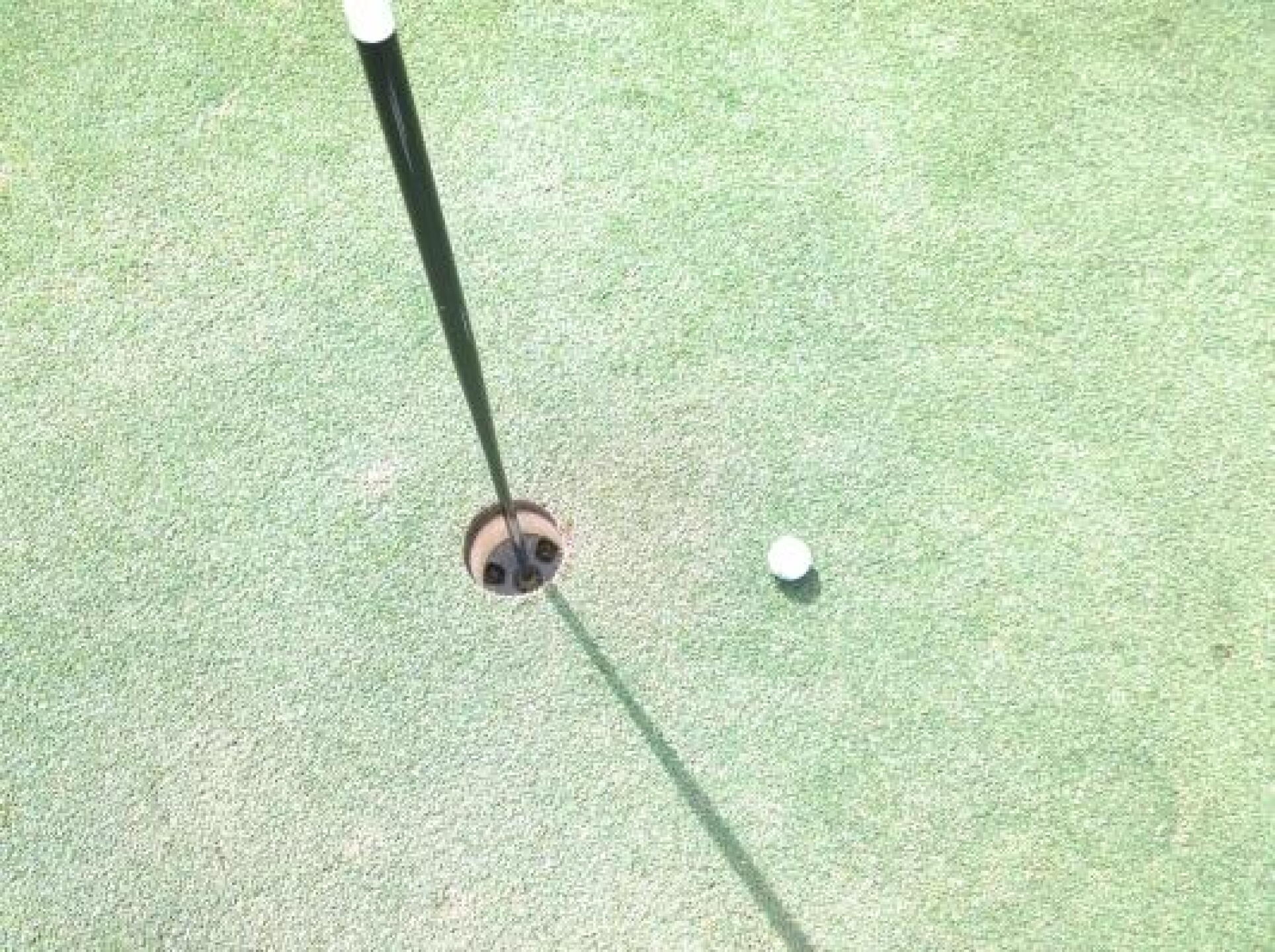 #3 at Pine barrens , would have been a nice birthday present (Photo submitted by hoffy58 on 10/20/2014)