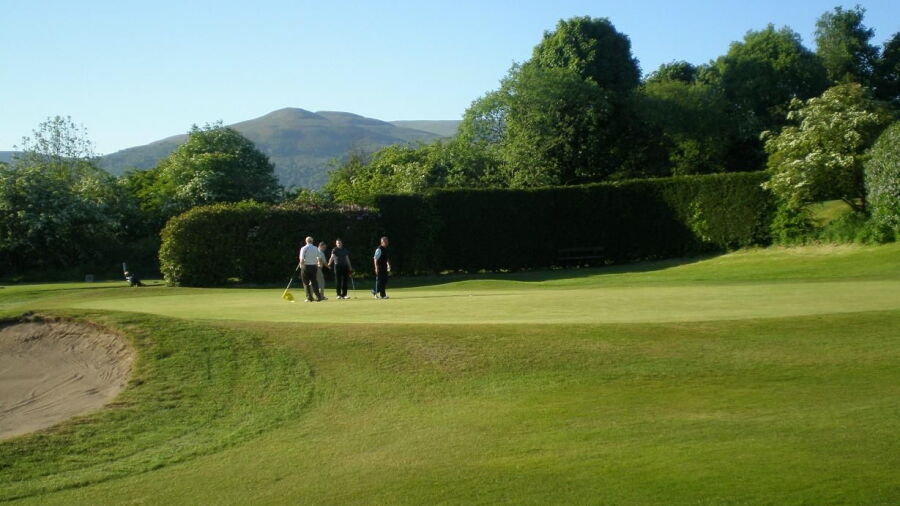 Alloa GC: #13