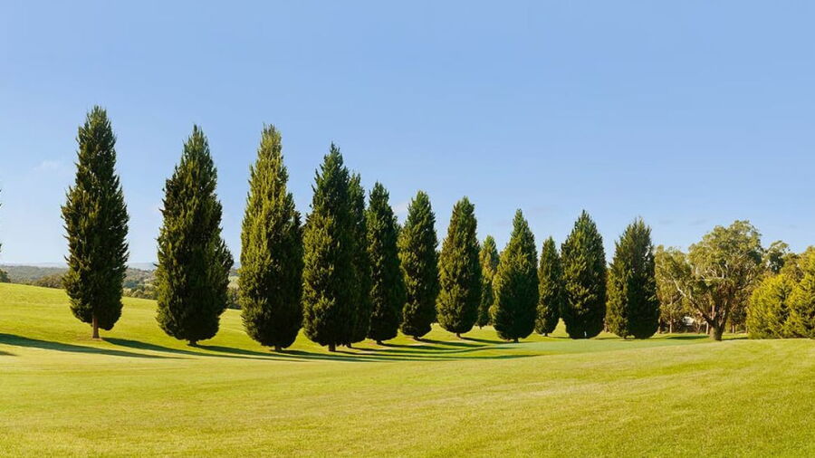 Hidden Valley GCC