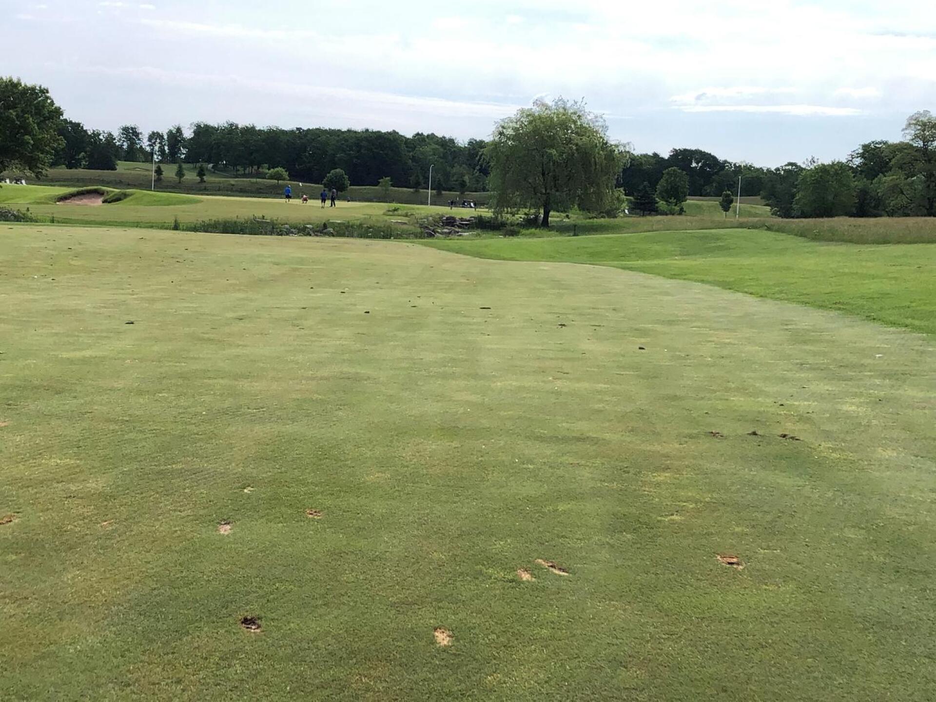 (Photo submitted by Kale1523211 on 07/18/2020)