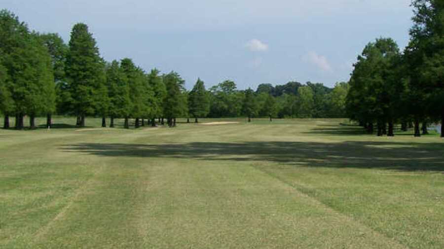 Cypress Tree GC