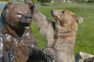 Honda Classic: Previewing the Bear Trap