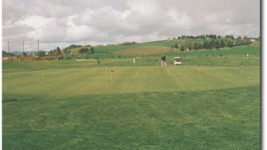Quail Valley Putting Green