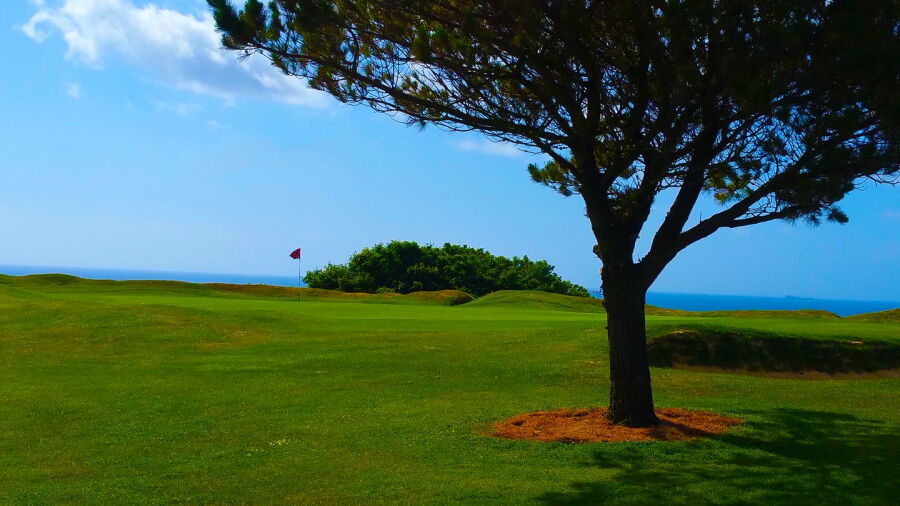 Falmouth GC