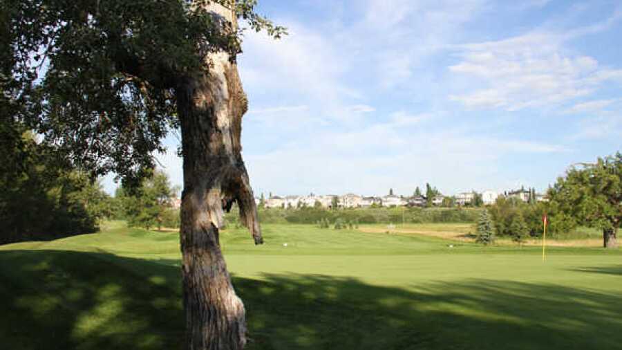McKenzie Meadows GC: #13