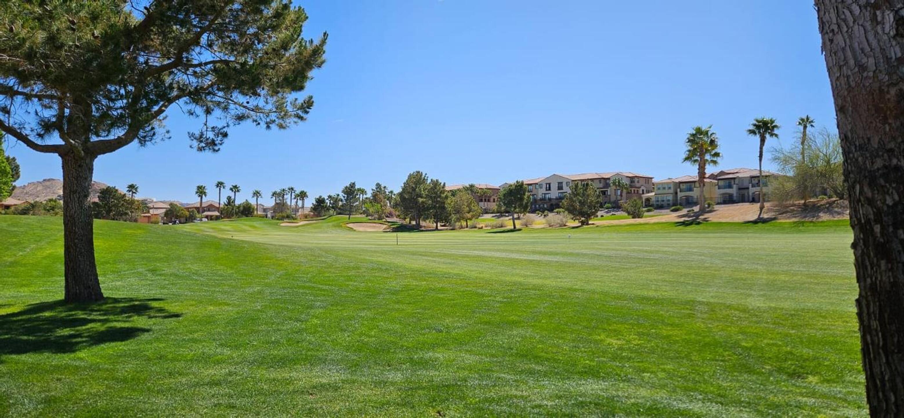 (Photo submitted by ixgZmt8qLz9NU0bwTDvG on 04/13/2024)