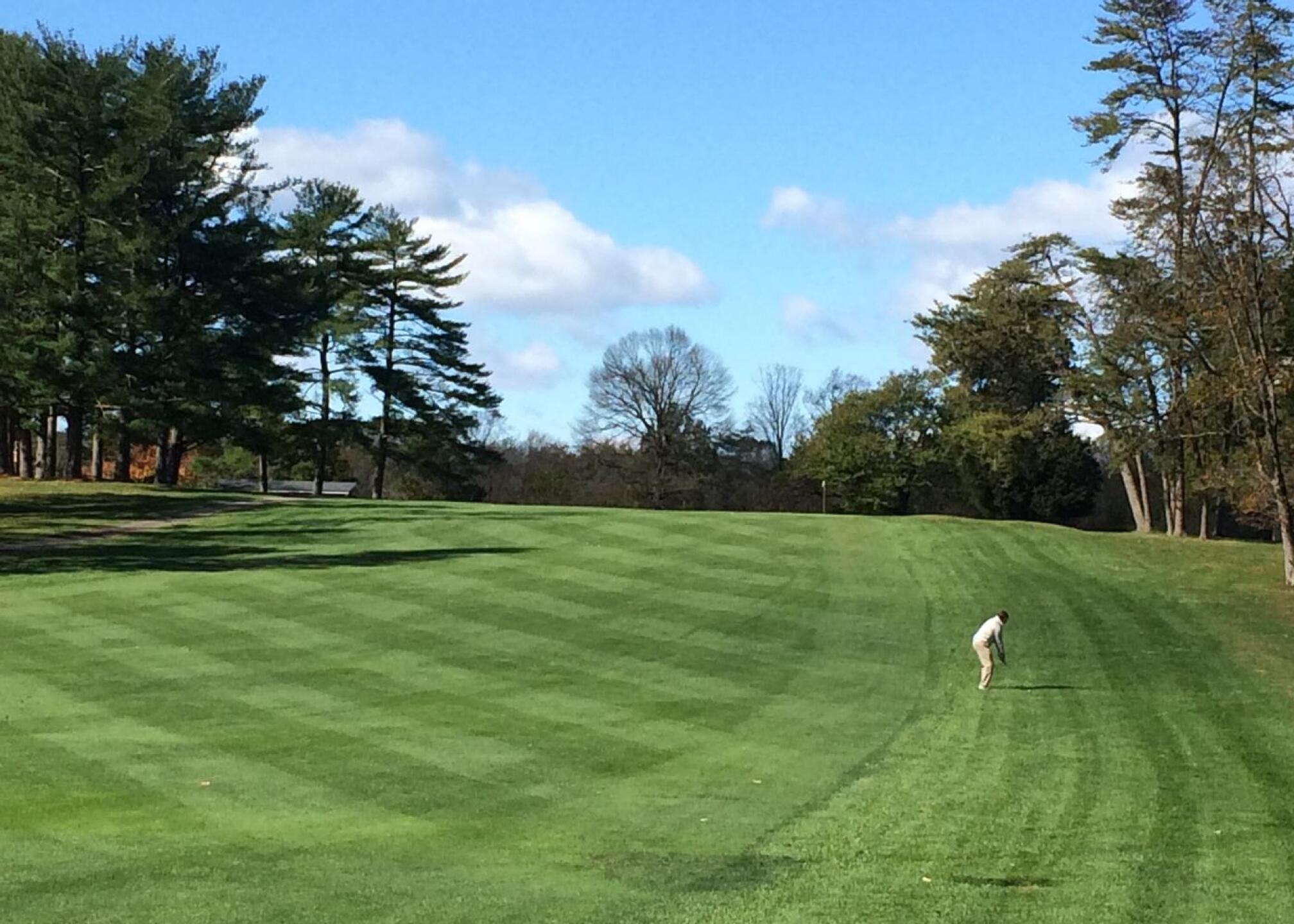 #12 (Photo submitted by jwnDLbCs1SVLjETCZtn7 on 11/12/2020)