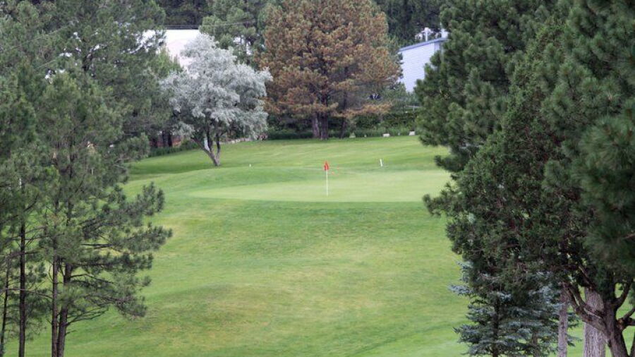 Cree Meadows CC: #11