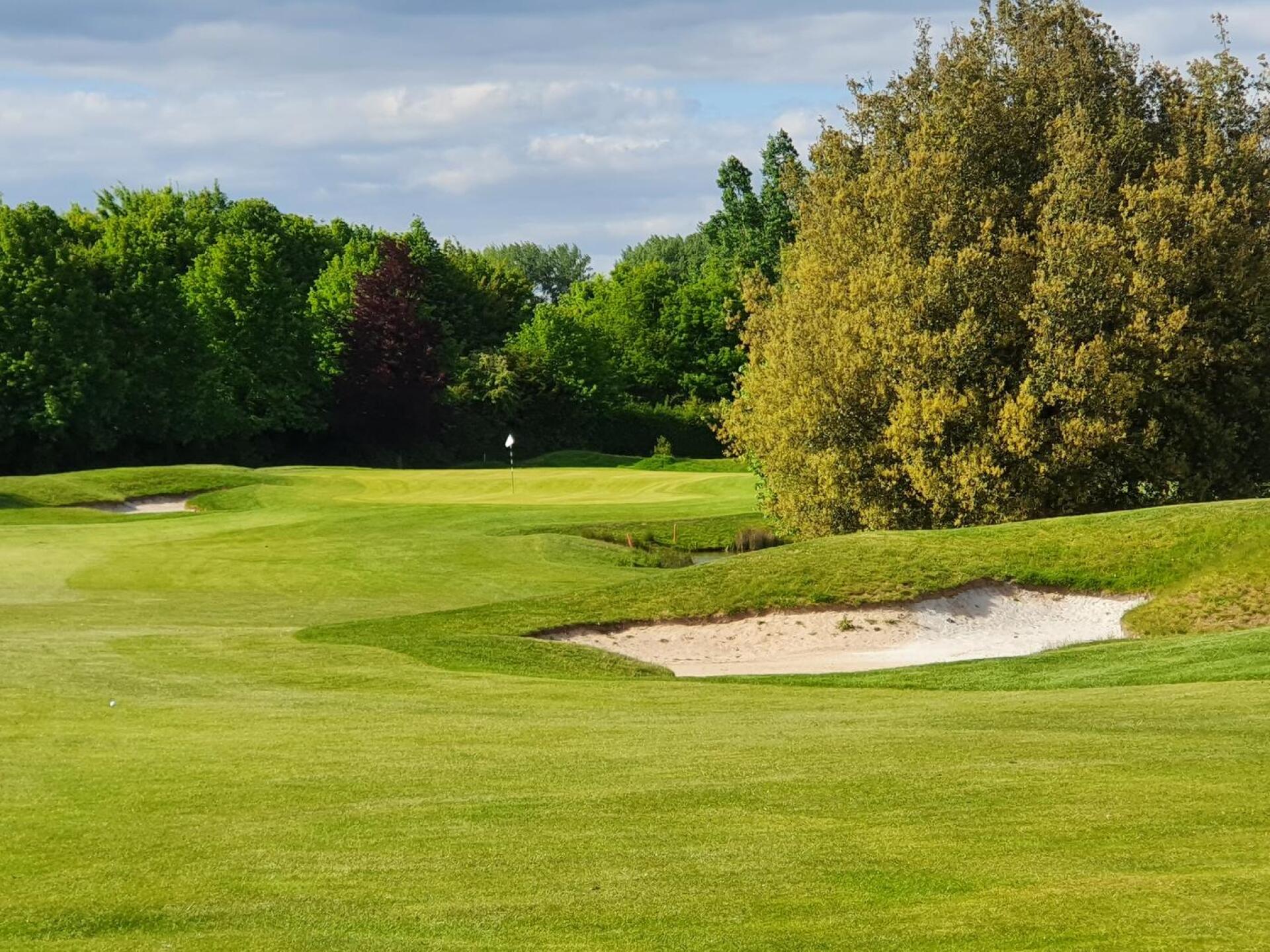 (Photo submitted by CliffDB20 on 06/14/2020)