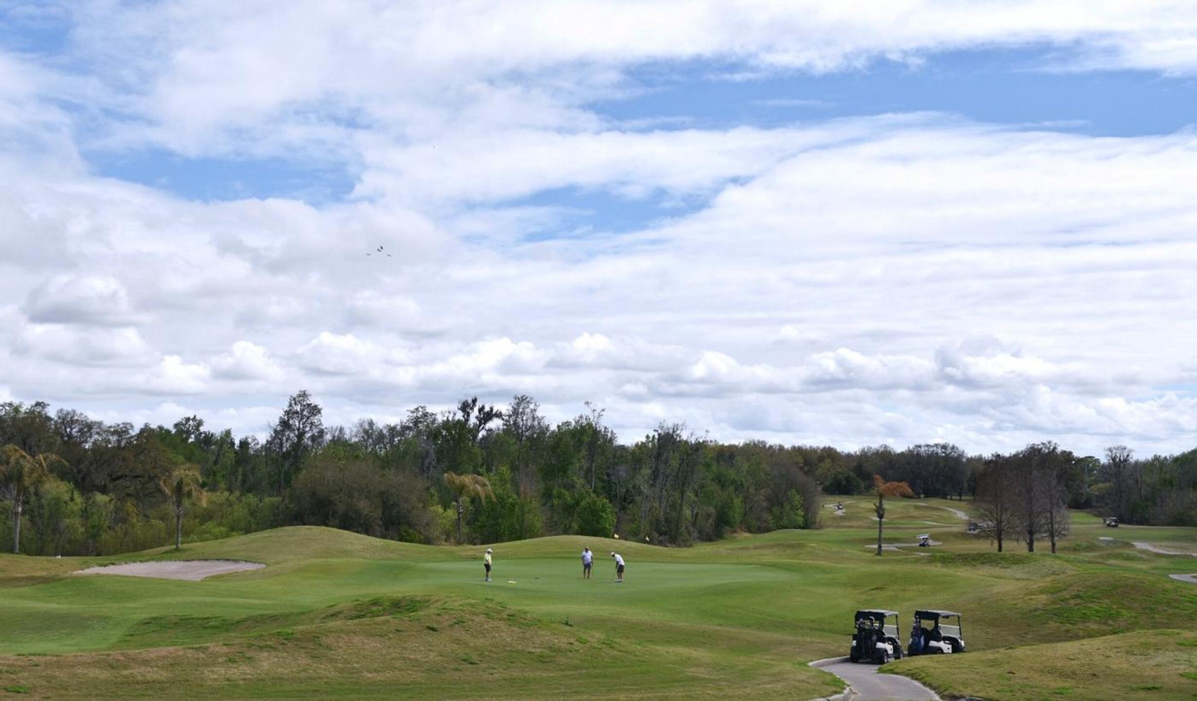 11th, par-3, 207: A hole of average difficulty, eleven plays downhill to a green open in the front, but a bunker protects its left flank. (Photo submitted by AptlyLinked on 03/07/2026)