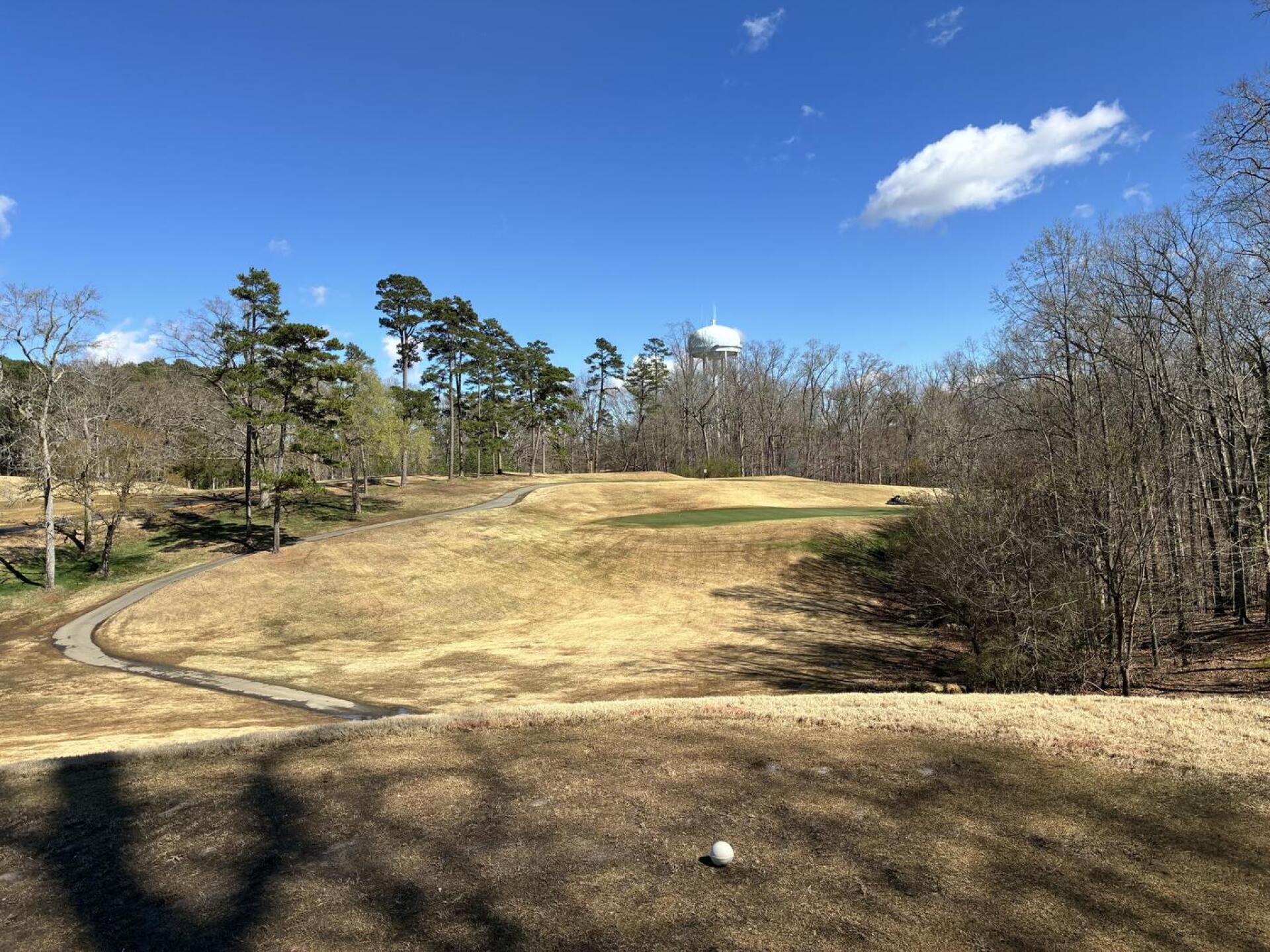 (Photo submitted by cawbvZHI3YWWrL5Q2lLD on 03/13/2026)