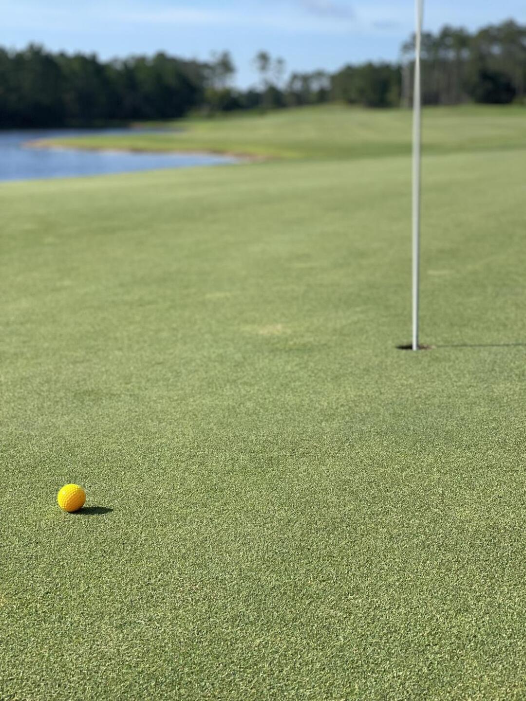 (Photo submitted by u000002403868 on 07/11/2022)