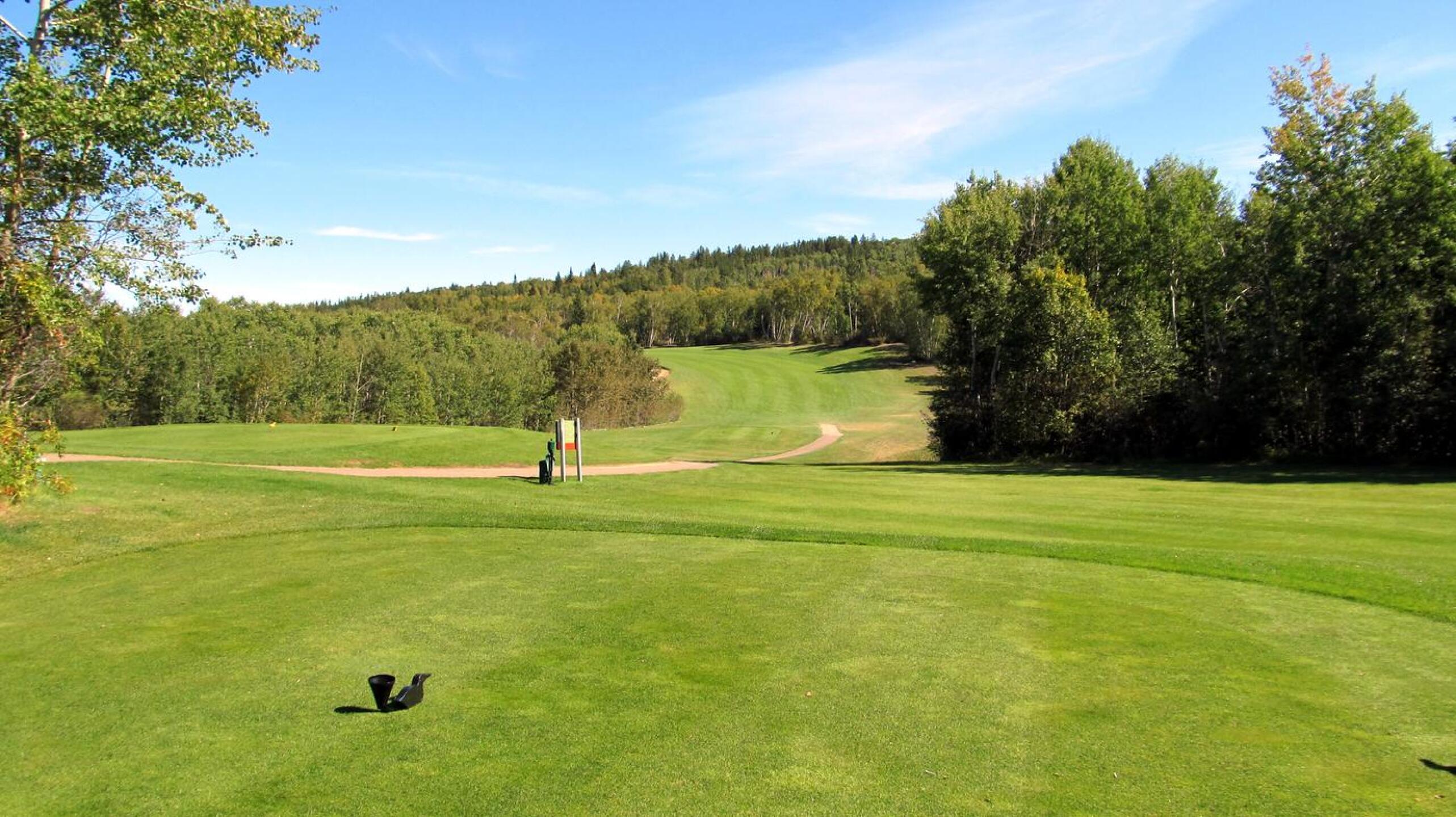 Loon Lake G&CC, Hole 8, Par 5, 450 yds (Photo submitted by DYakimec on 02/29/2016)