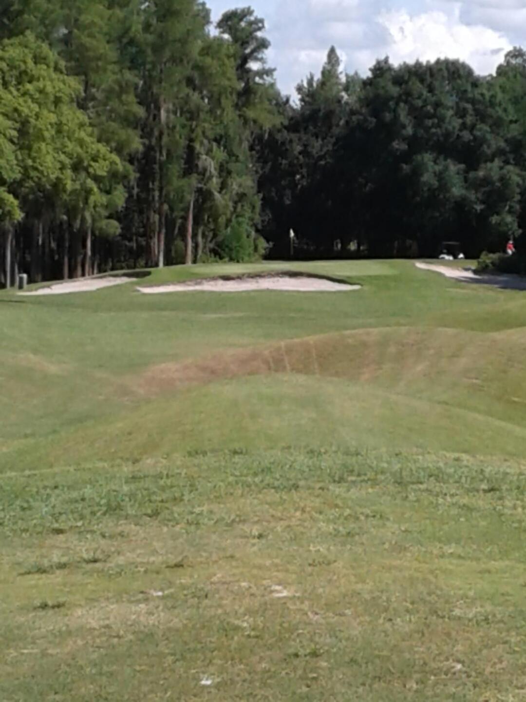 (Photo submitted by Baldybrown2 on 06/30/2019)