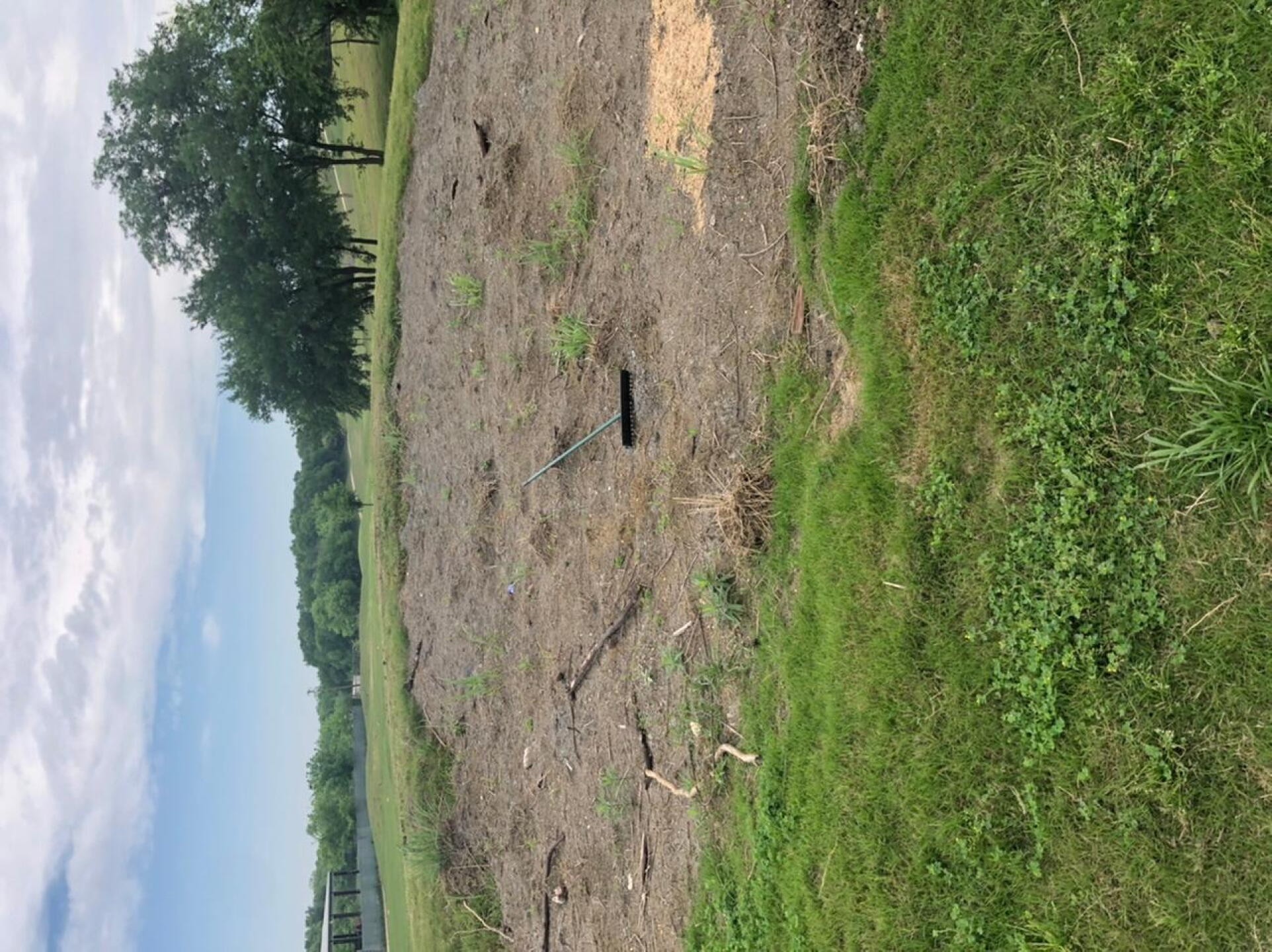 Sand trap quality (Photo submitted by u8296011 on 04/08/2020)