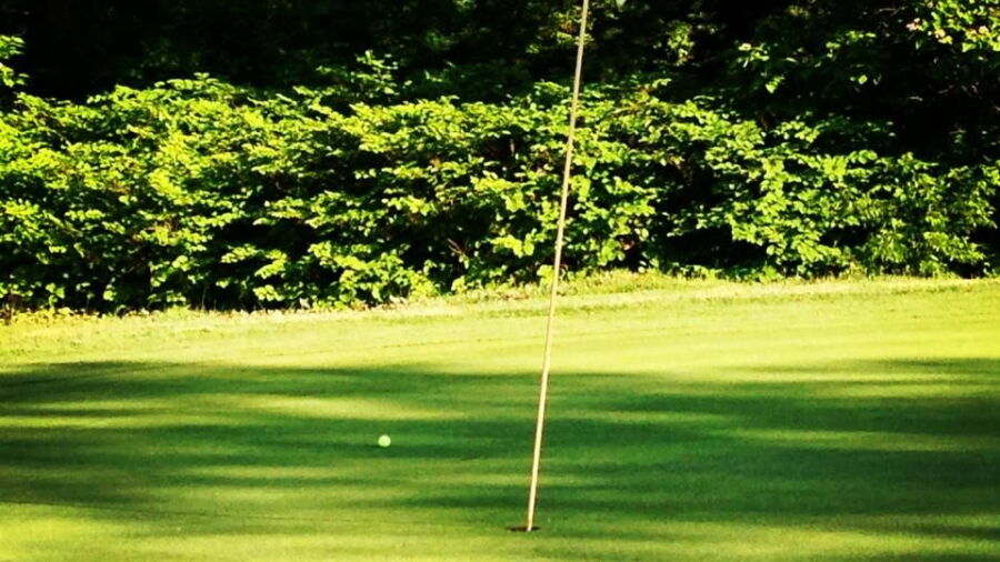 Pine Valley Sports