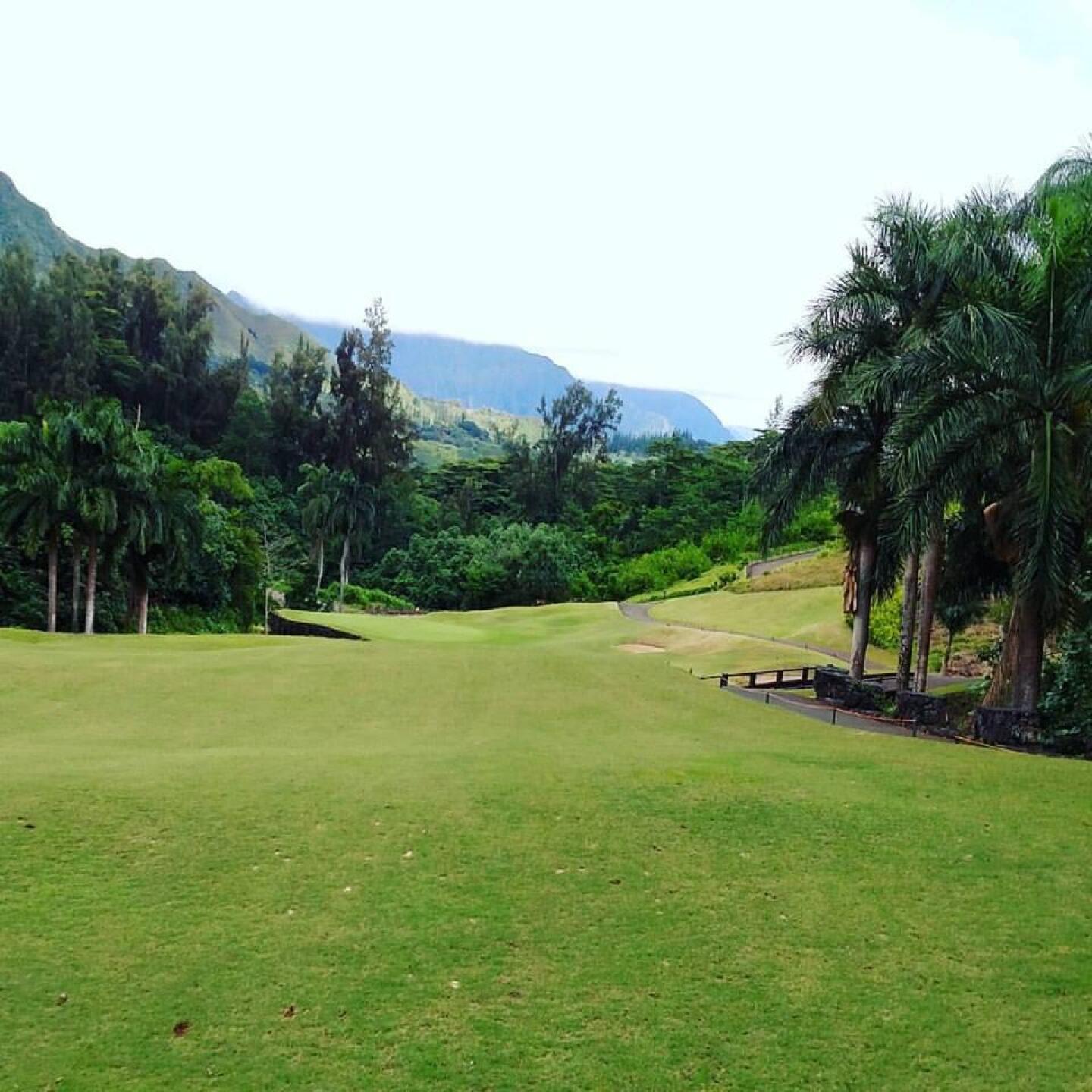 (Photo submitted by sorenj on 06/11/2017)