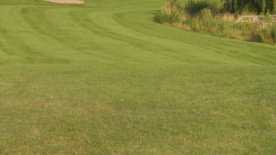 Nine Springs GC: #1