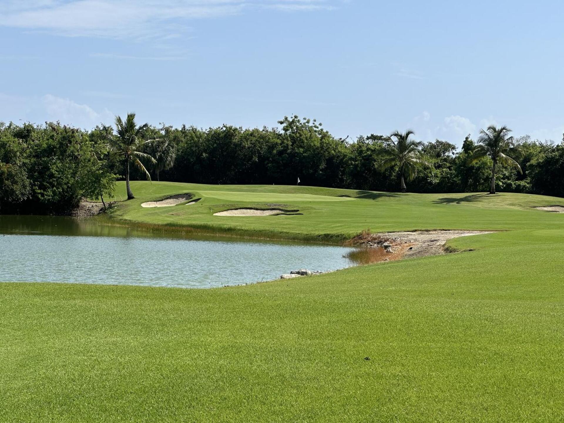 (Photo submitted by CiSkaZqWj9wNsCleSRiy on 04/25/2024)