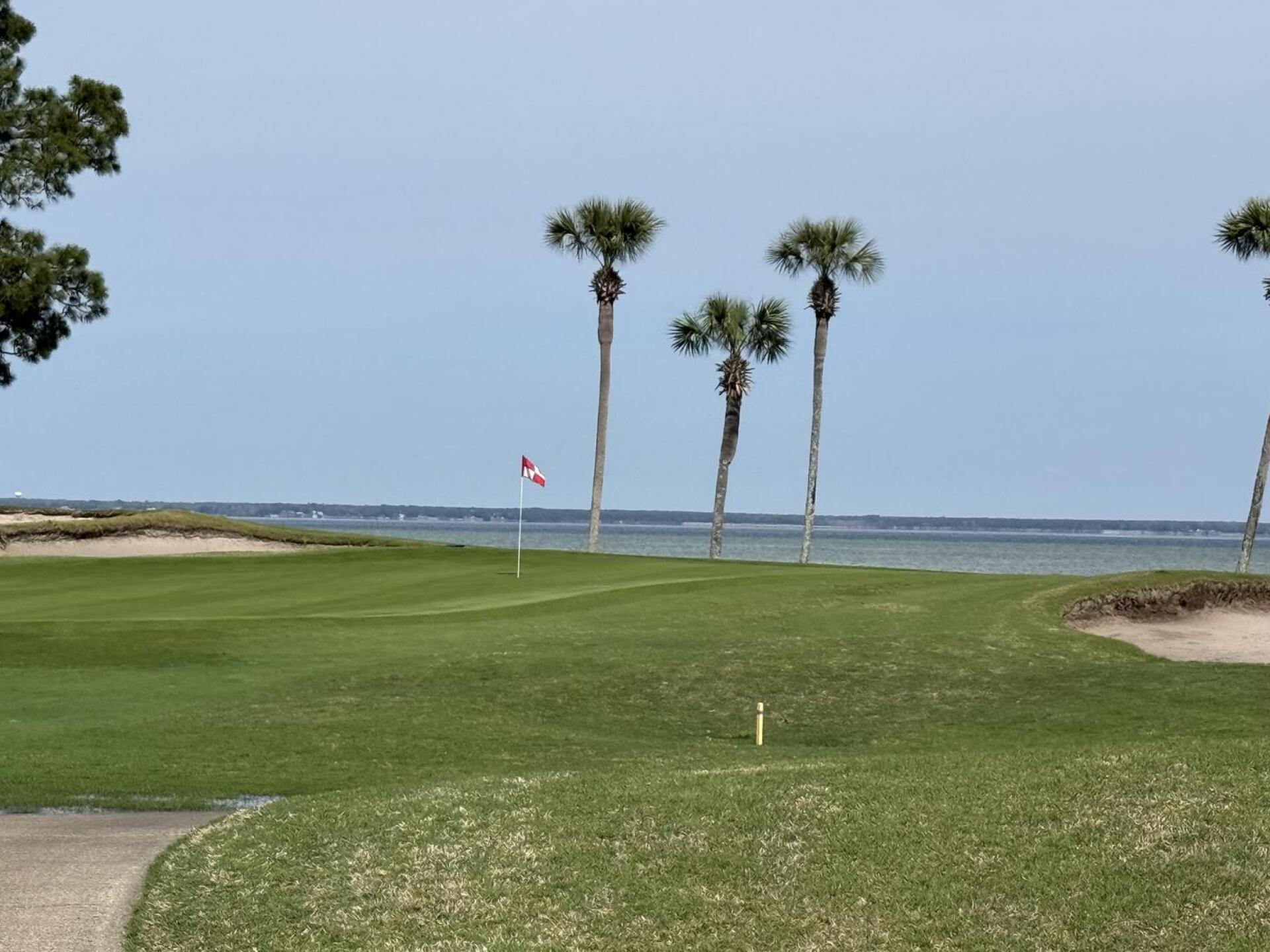 (Photo submitted by tdoug on 03/09/2026)