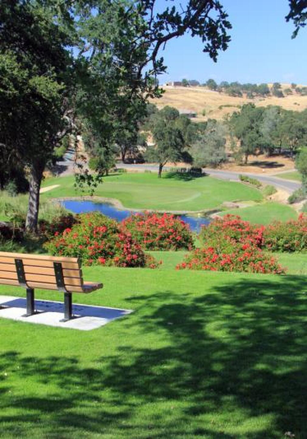 Back 9 Par 3 @ La Contenta (Photo submitted by Annapics on 05/20/2013)
