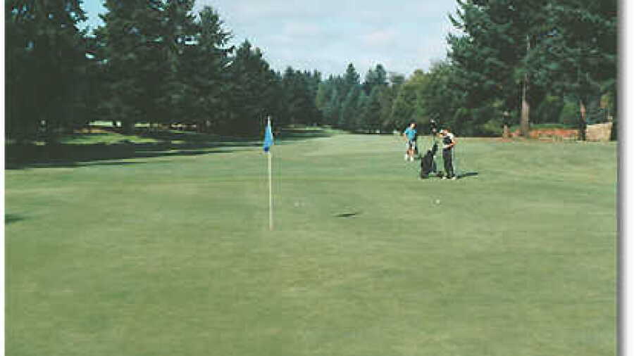 Springwater #8