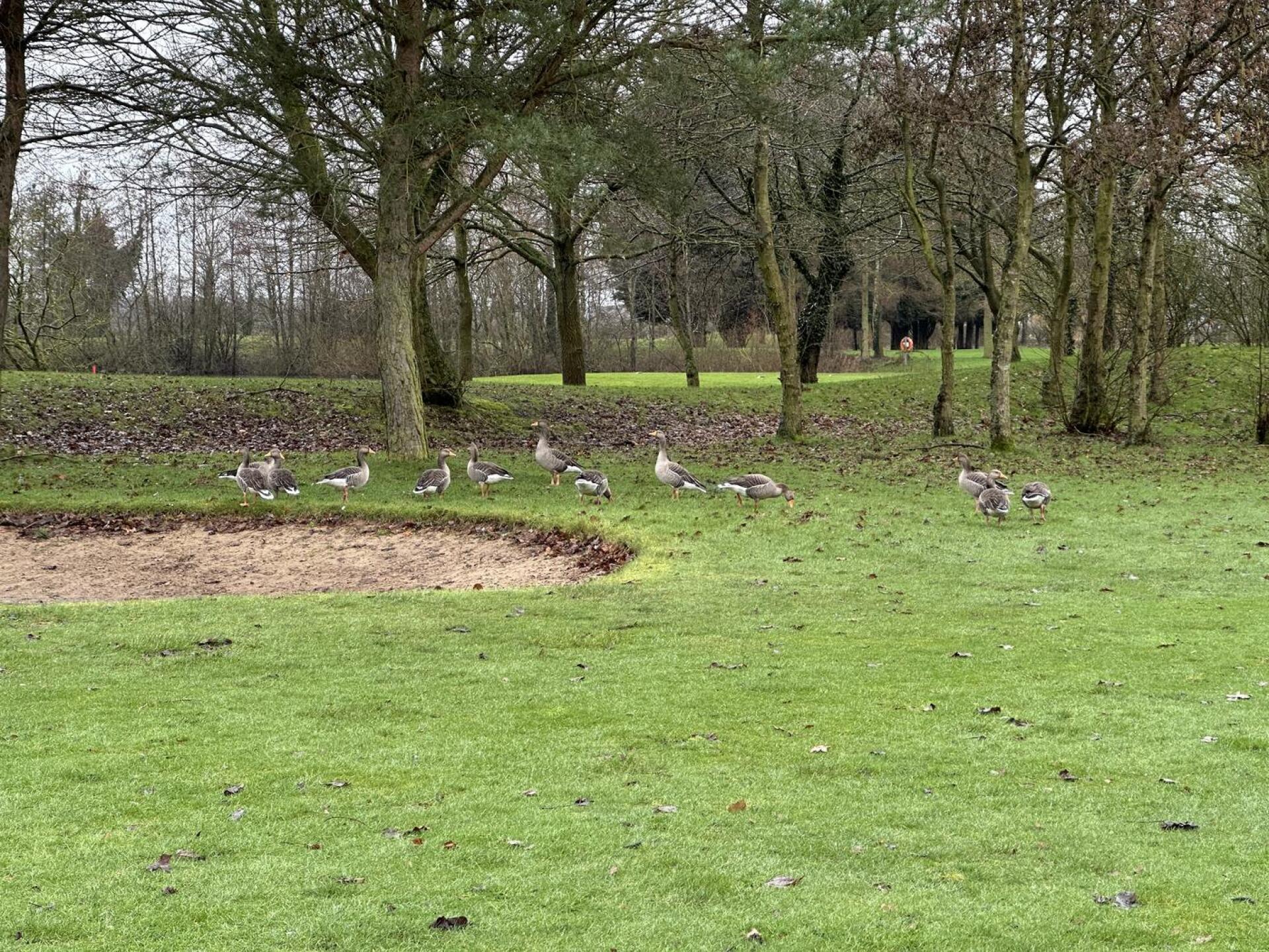 (Photo submitted by YUOGEe0AaWpEMymJCGol on 02/15/2026)