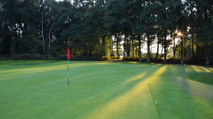 Chorleywood GC: #8