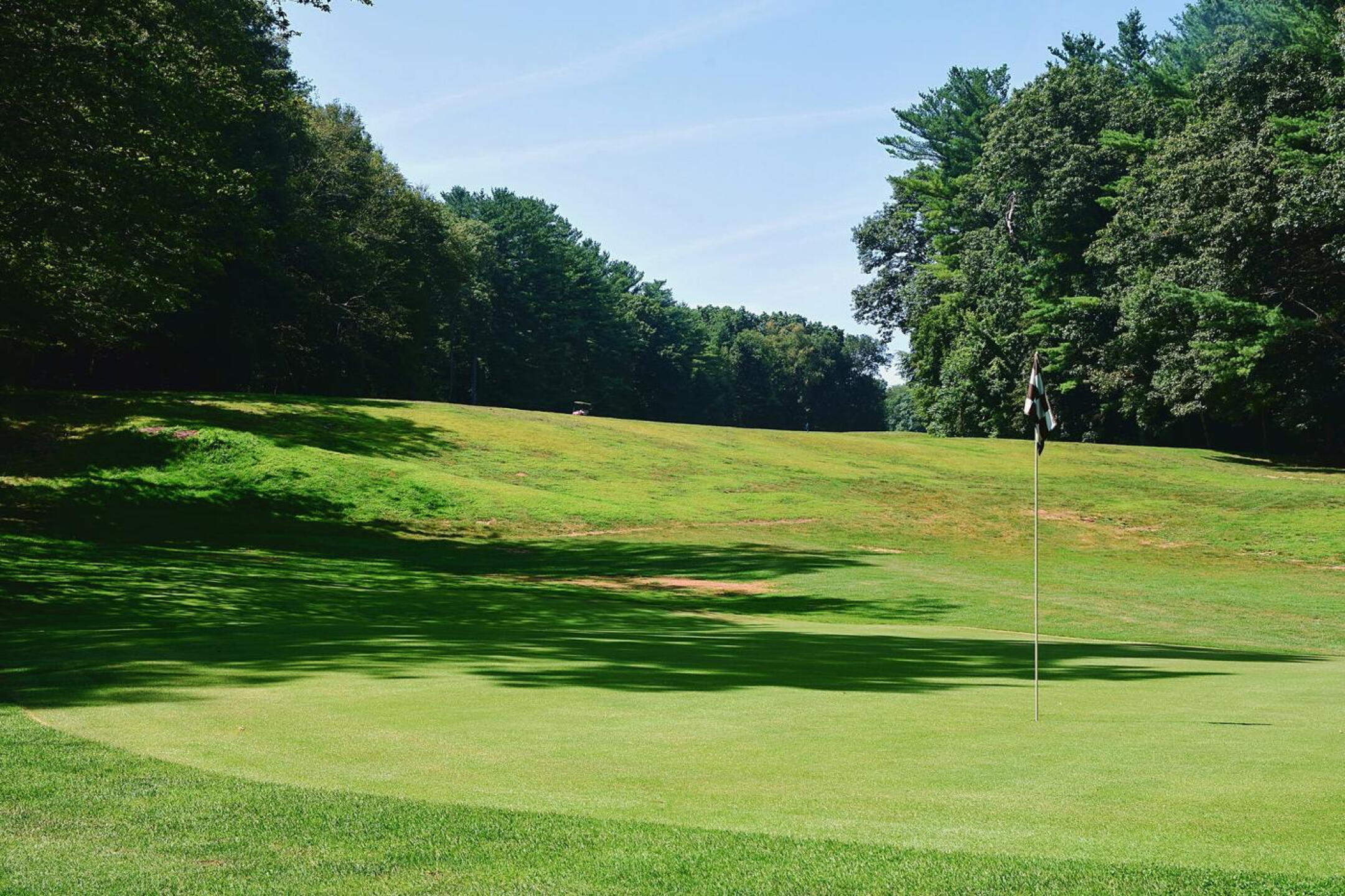 7th: A clever downhill (and tough) par-3, where the ideal shot is typically a  draw. (Photo submitted by AptlyLinked on 08/12/2025)