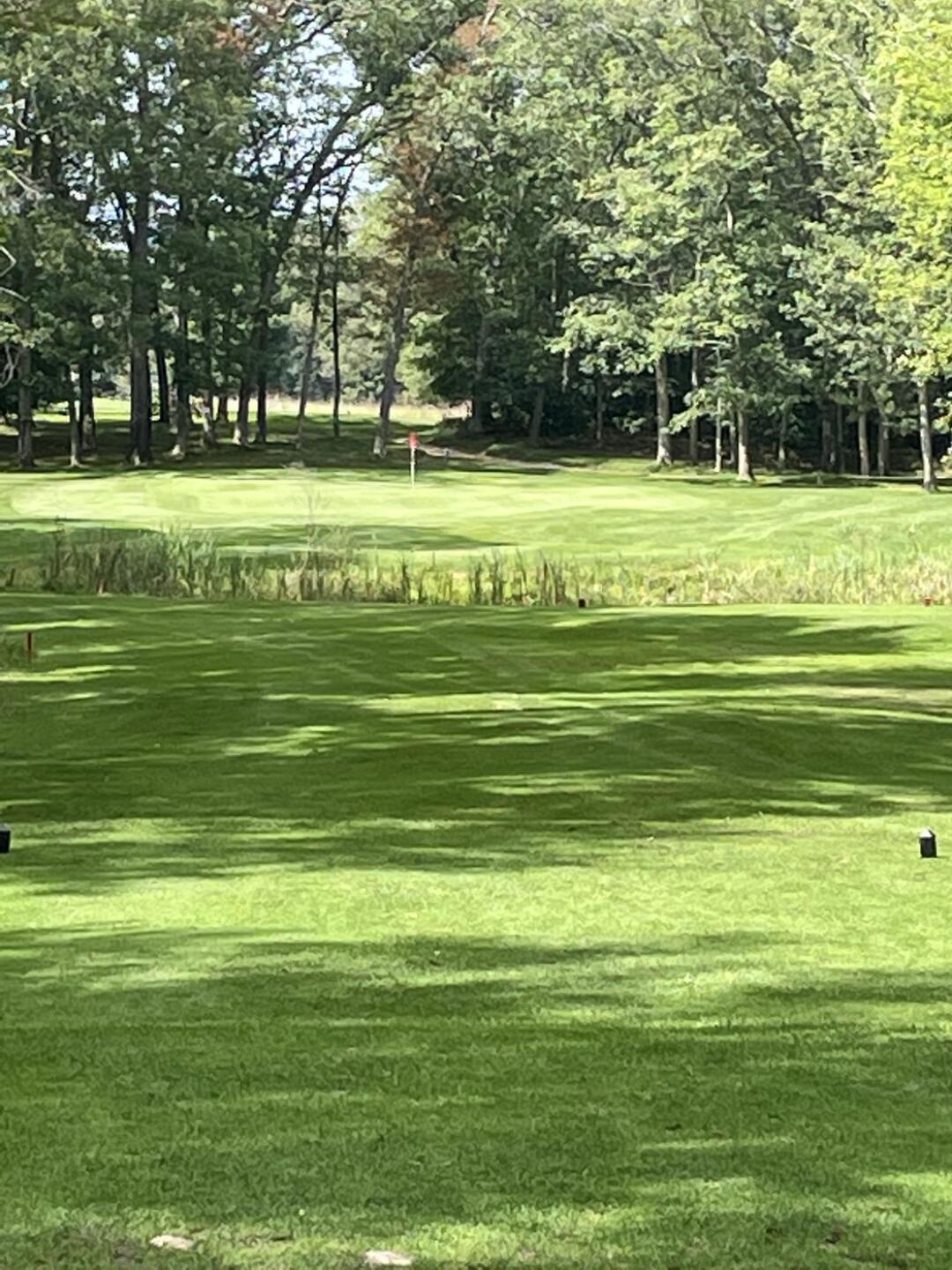 (Photo submitted by brunettmark on 09/04/2022)