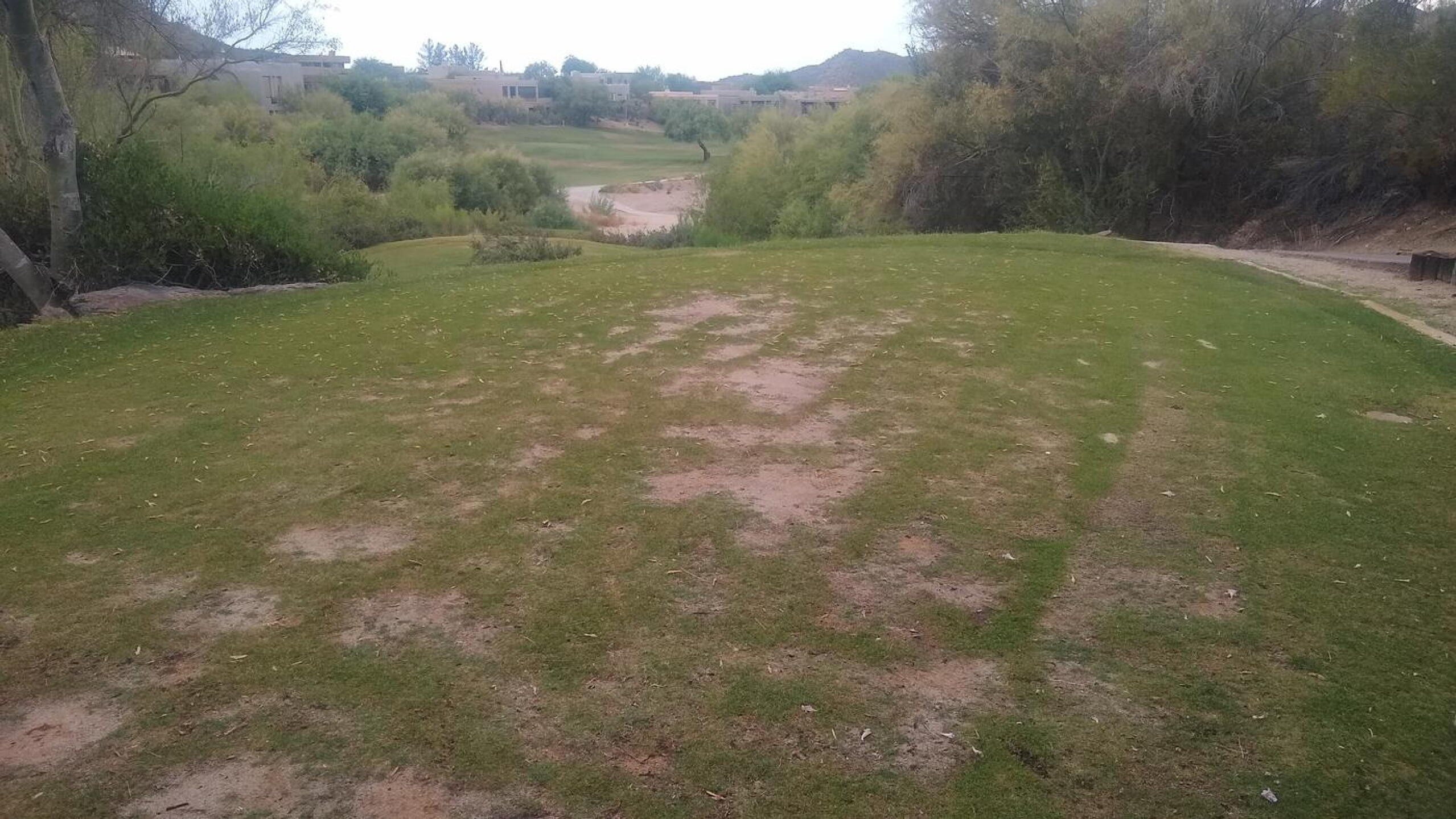 Tee Box Hole 16 (Photo submitted by tarifachris on 06/19/2022)