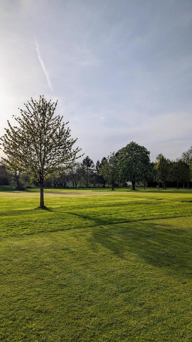 (Photo submitted by JKY95Fq7ztDPK0kI2HBl on 05/11/2024)