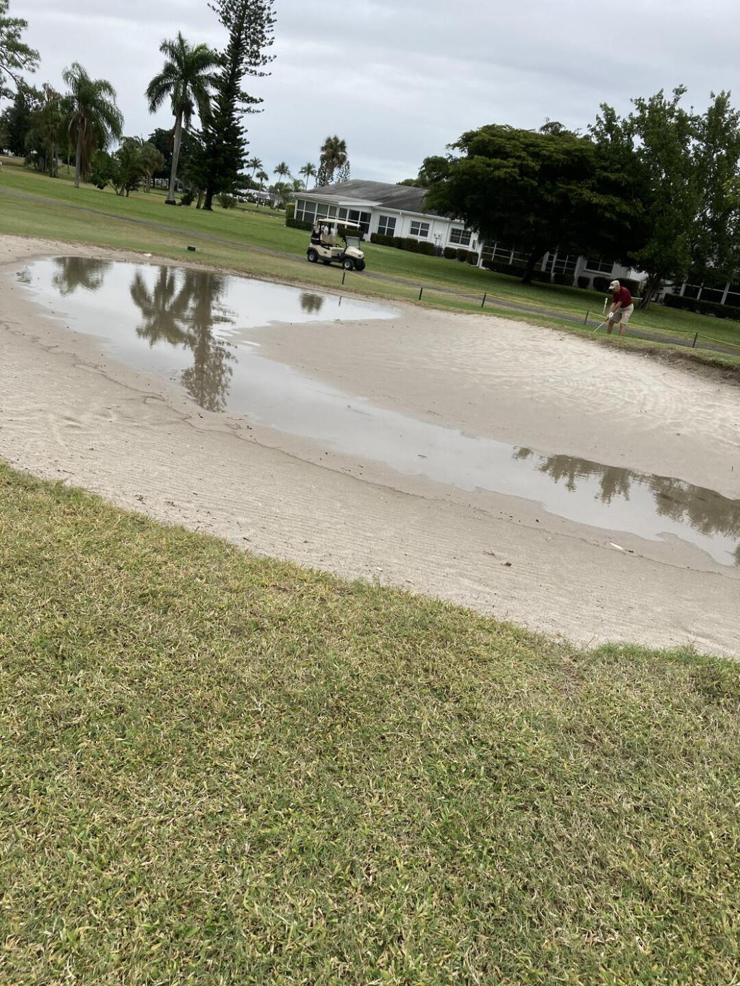 (Photo submitted by mygolfgame on 12/07/2020)