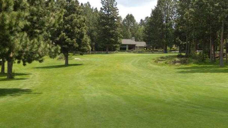 Old Back Nine: #14
