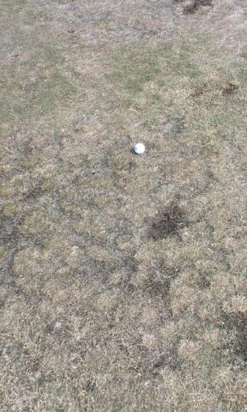 Ball in middle of "fairway" (Photo submitted by calidahgolf on 04/01/2013)
