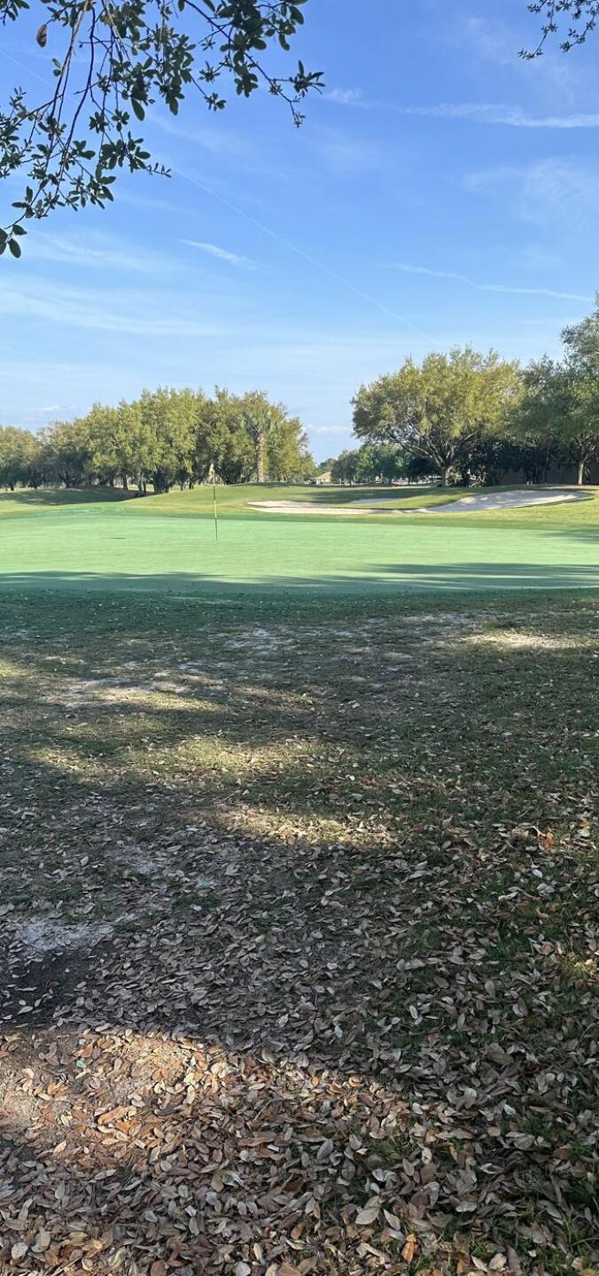 (Photo submitted by wegman on 03/16/2024)