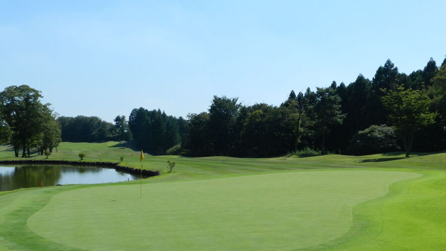Thomson CC