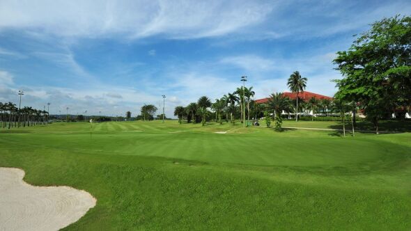 Orchid CC - Aranda: #9