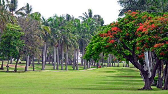 Moro Course at El Cid Country Club 