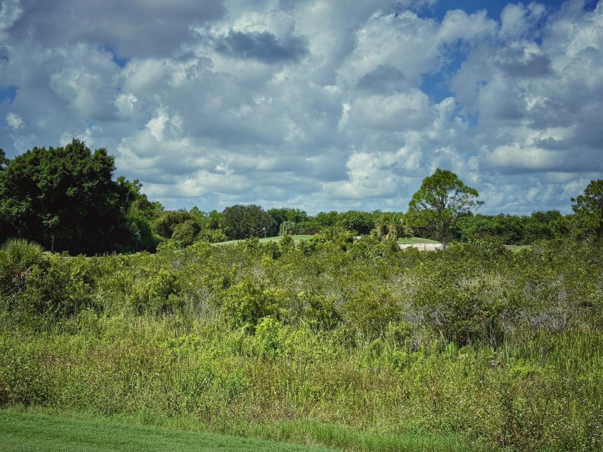 The Habitat, hole 17 (Photo submitted by TimGavrichGP on 11/29/2025)