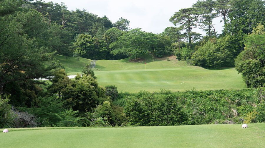 Hamamatsu CC: #13