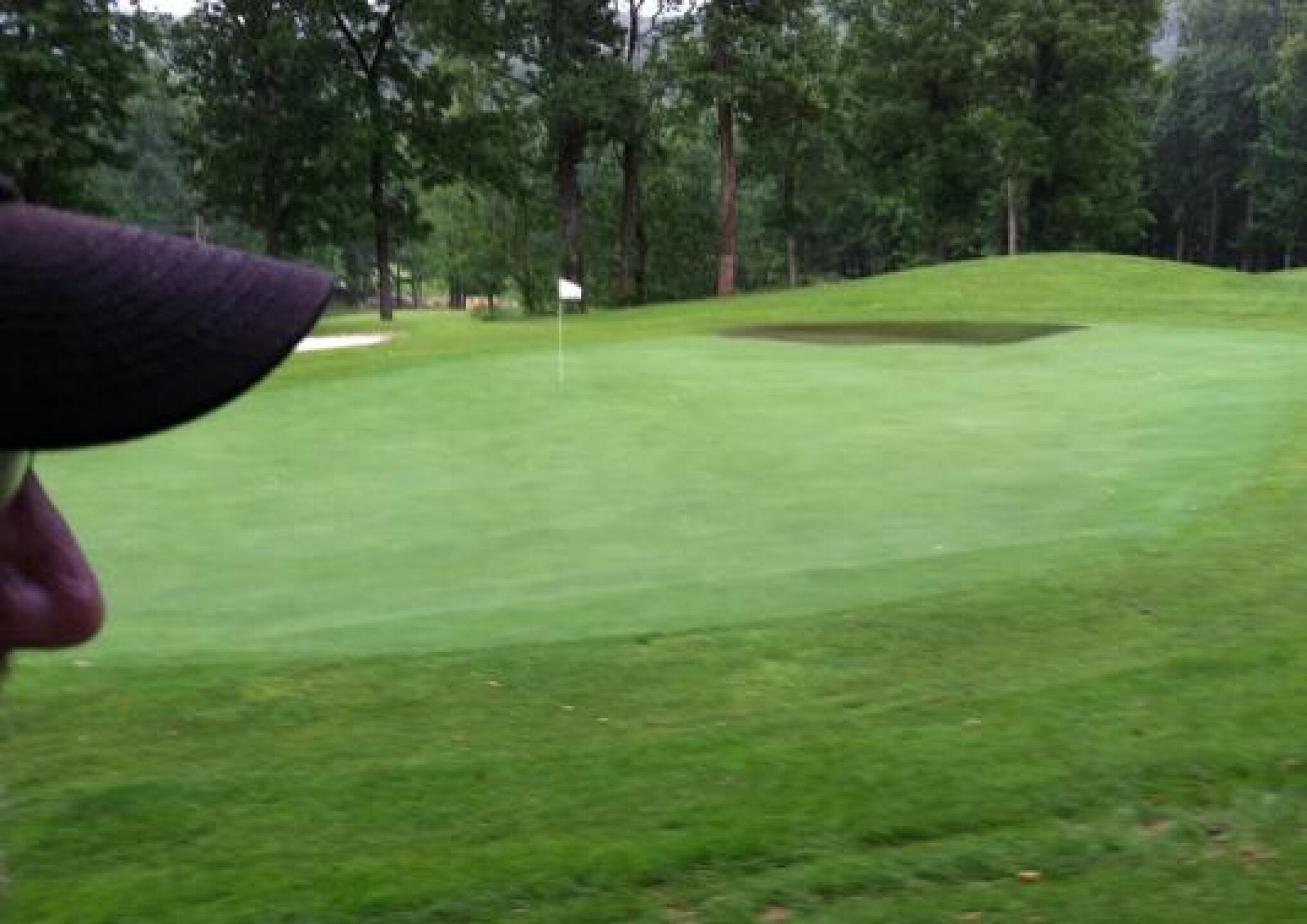 Green (Photo submitted by btpar3 on 07/17/2013)