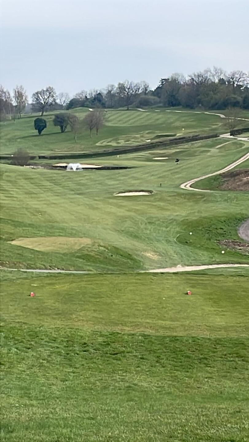 (Photo submitted by t661263381 on 04/03/2025)